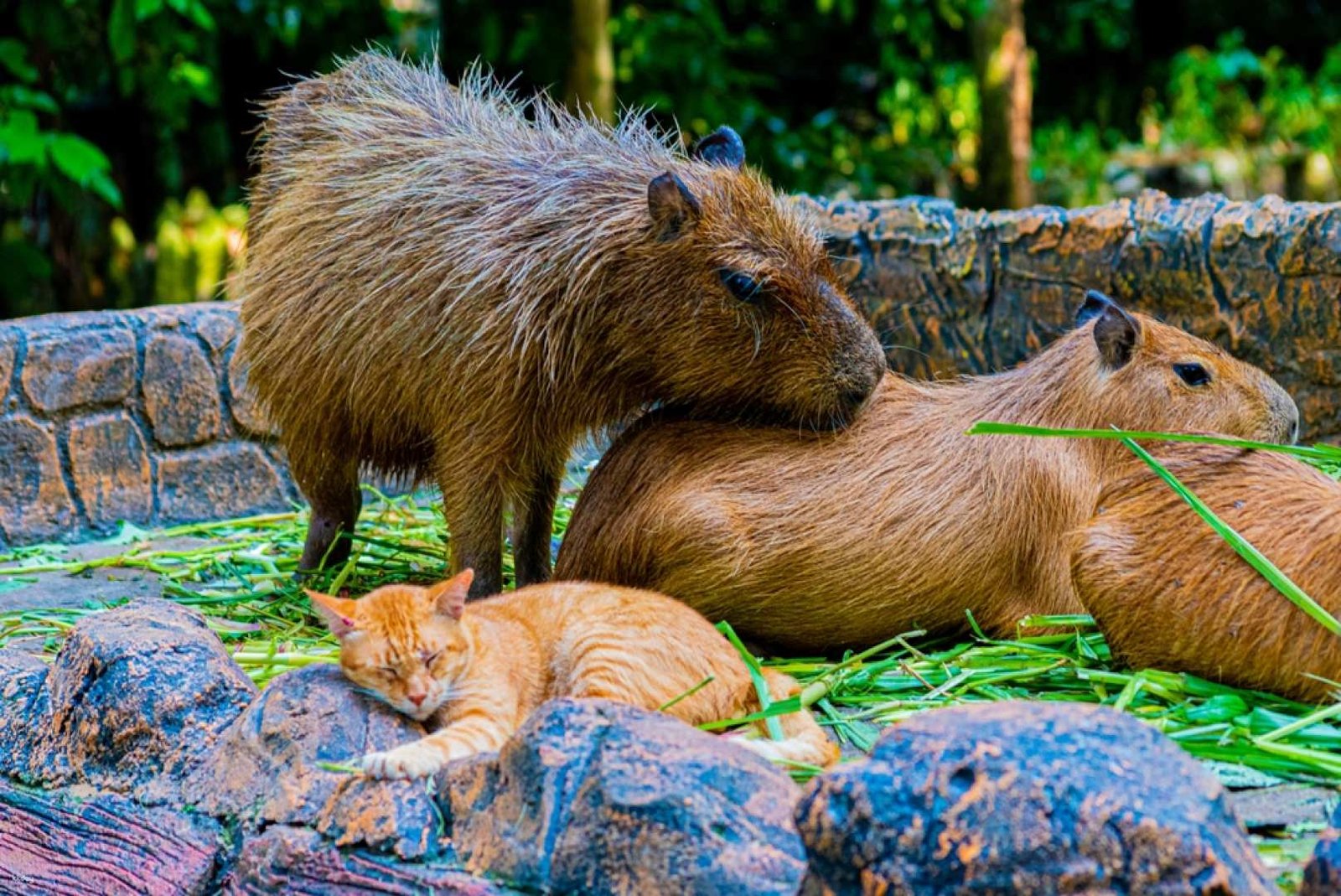 group flight booking