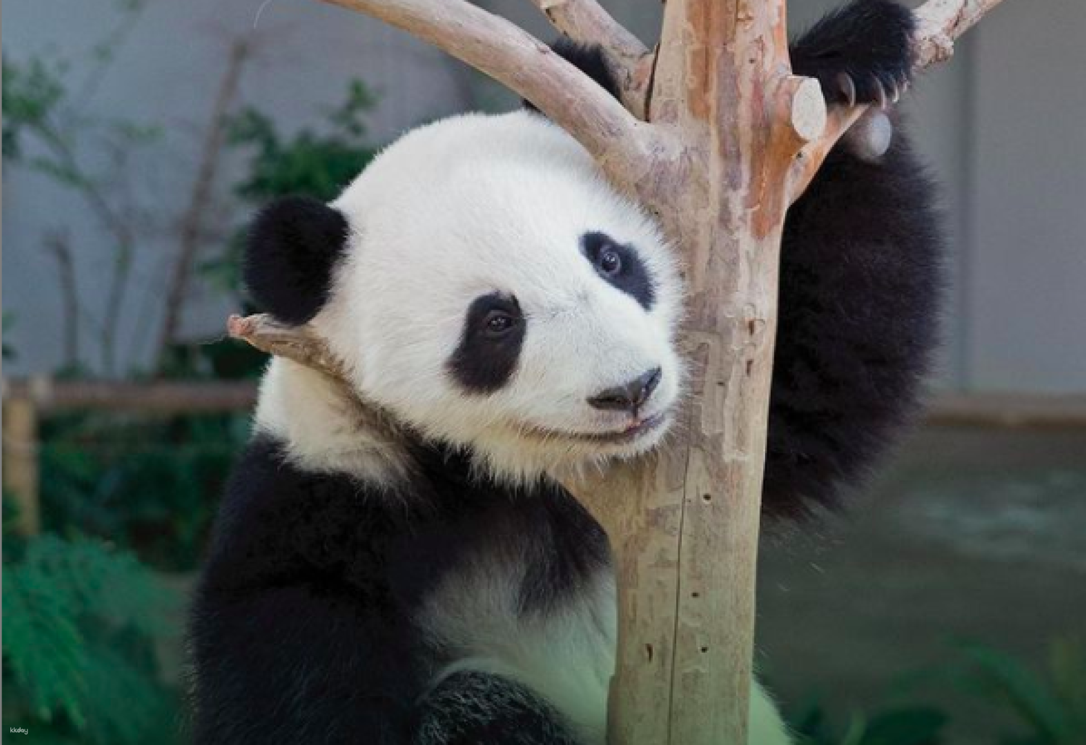 group flight booking